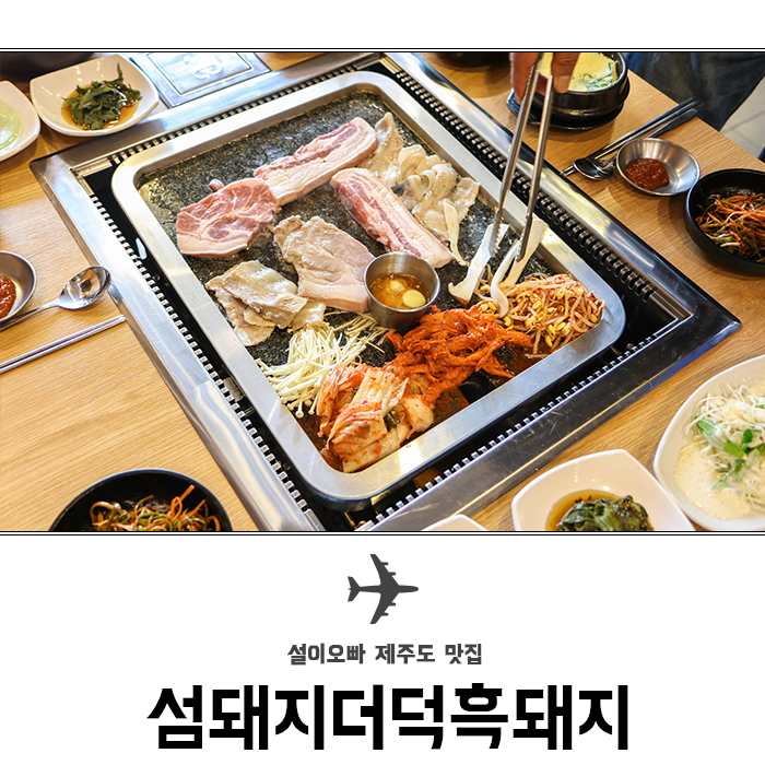 섬돼지 이미지