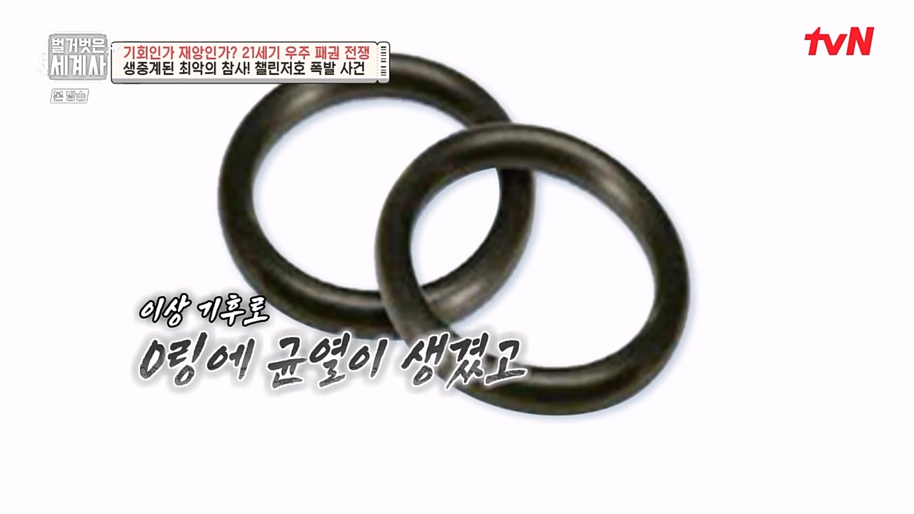 벌거벗은 세계사.E84.230132p-NEXT.mp4_20230307_200953.400.jpg