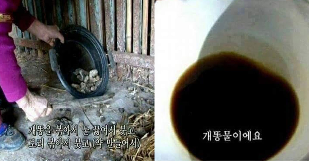  시골예능 레전드, 개똥물의 효능