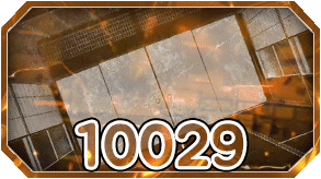 10029