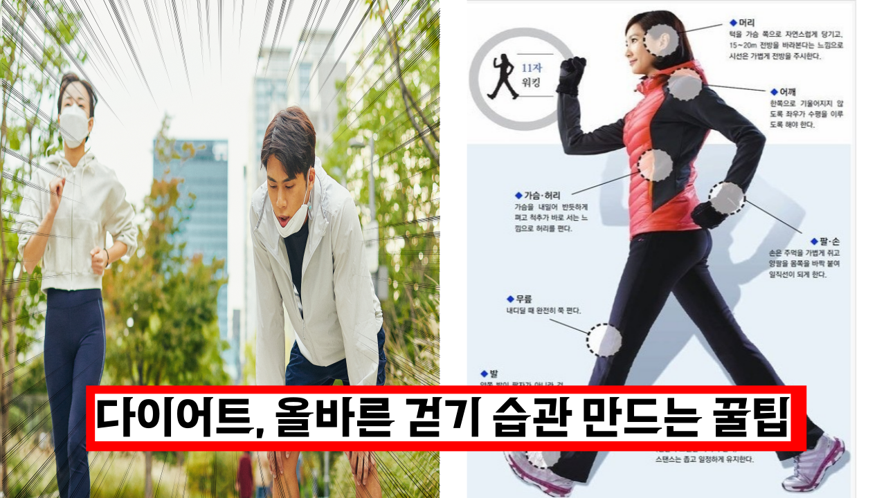  '운동 다이어트 꿀팁' 잘못된 걷기 습관 큰일나요. 이렇게 해보세요.