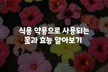 꽃 효능