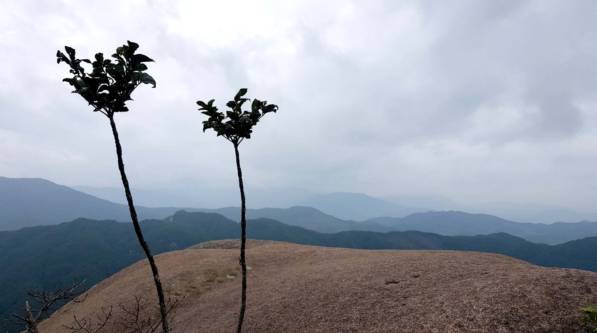경남 산청 감암산