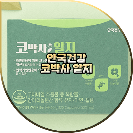  코박사 알지 효과(효능) 및 성분/가격/먹는법 등 정리 :: 안국건강 비염 영양제