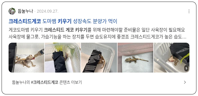 크레티드 게코 키우기_2_subsection