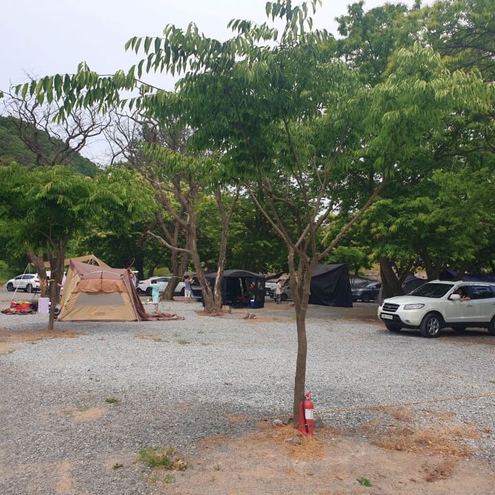 밤나무밑 캠핑사이트