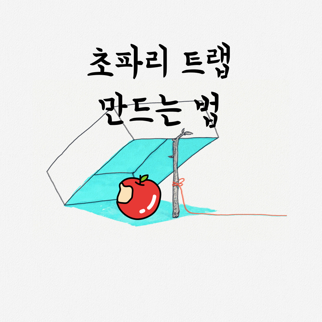  초파리 트랩 만드는 방법