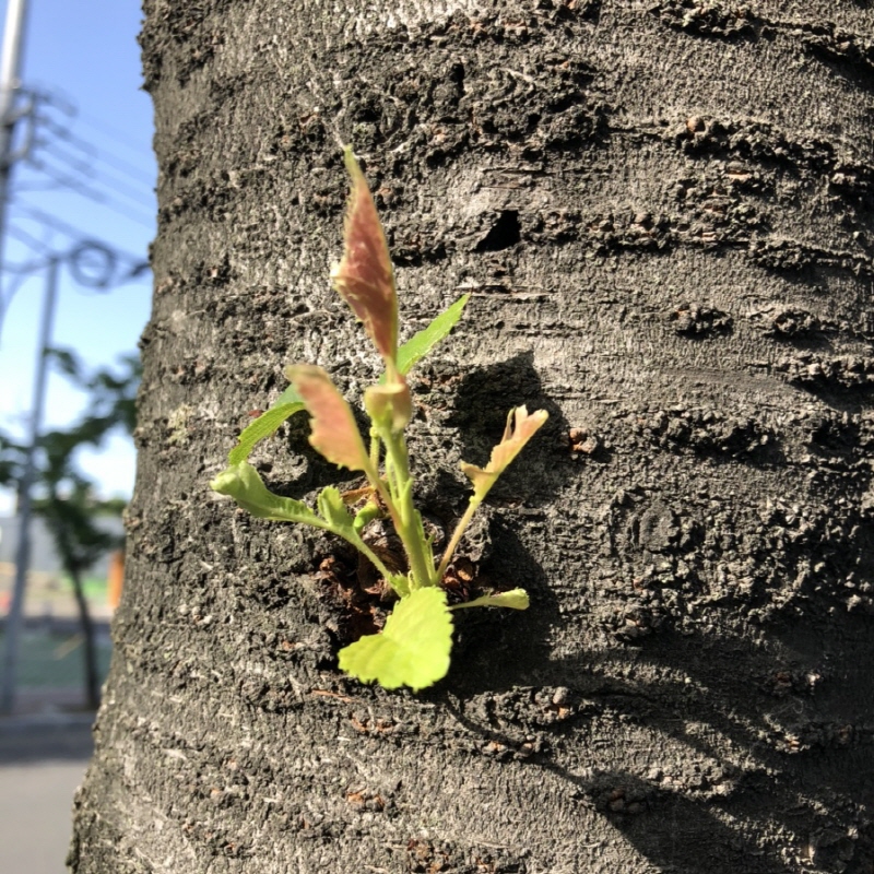 생각버리기연습