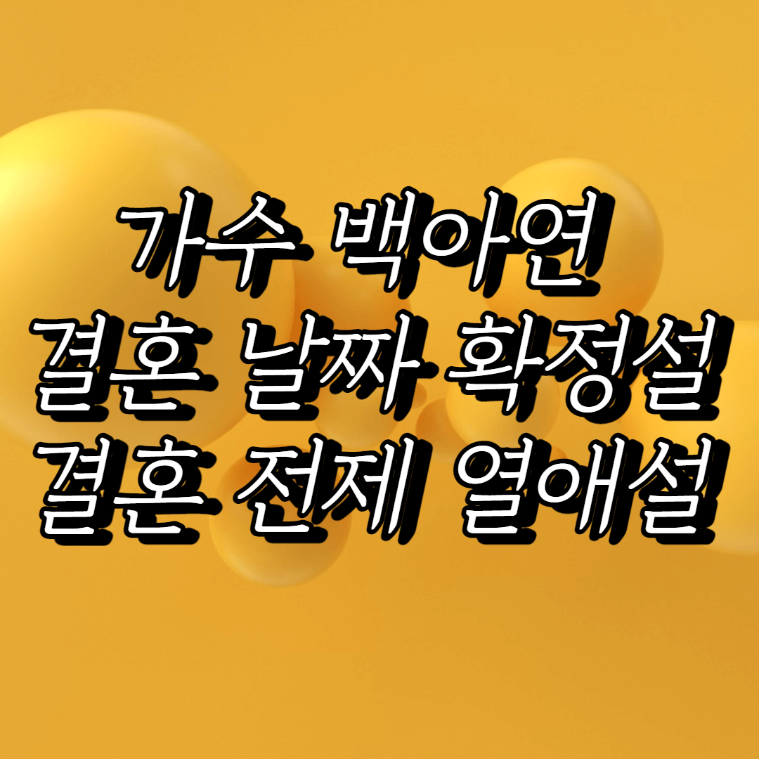 백아연 결혼 전제 열애설
