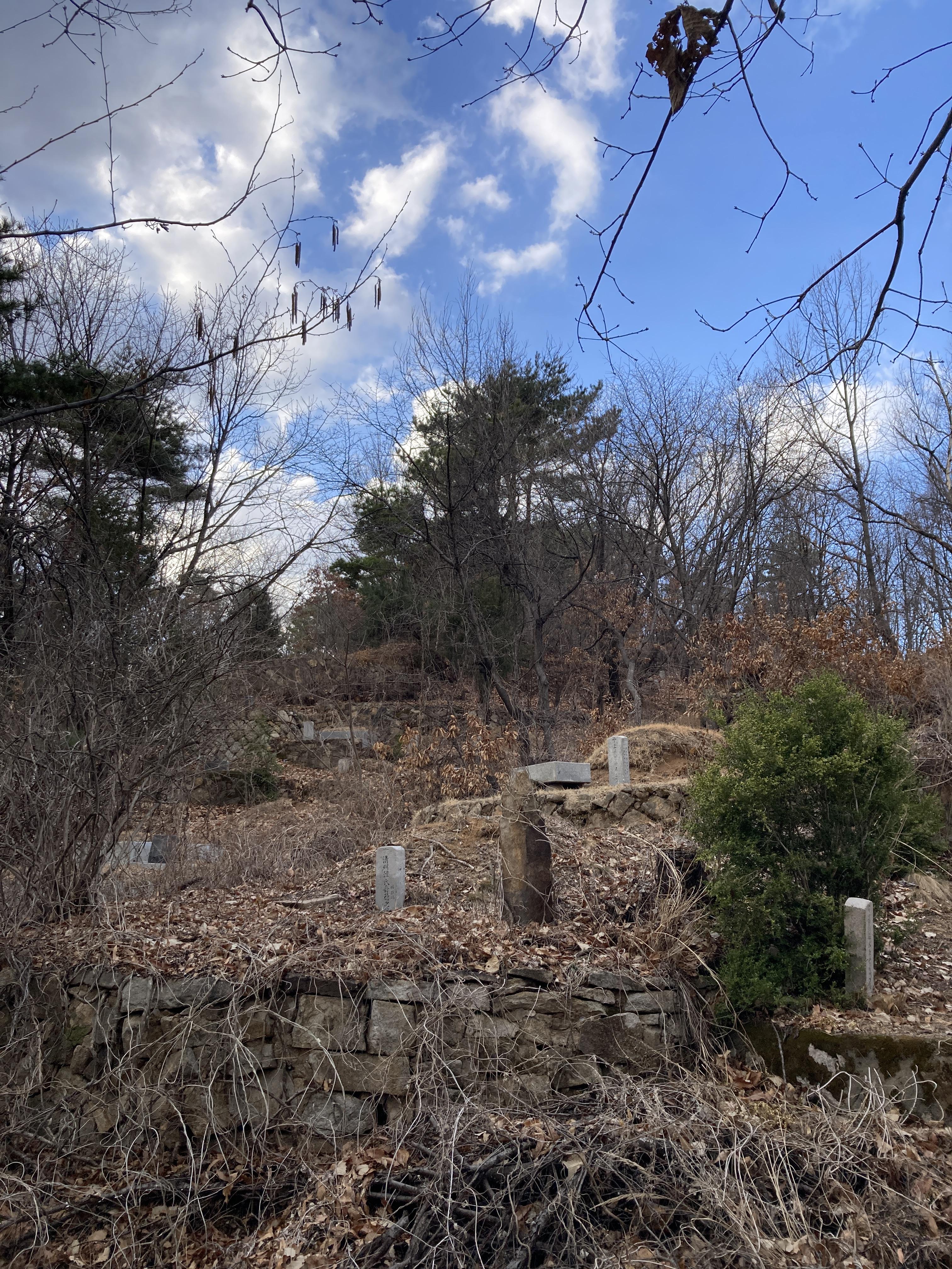 시원하고 바삭바삭 12