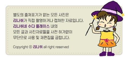 설치부터 사용법까지 모조리 알아보자 네이버 카페 앱 다운로드 13