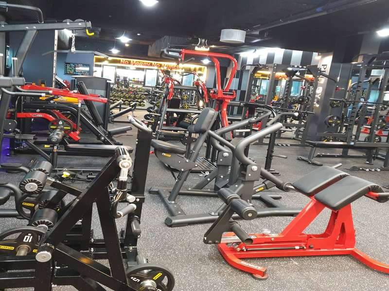 4. PRO PT 소개