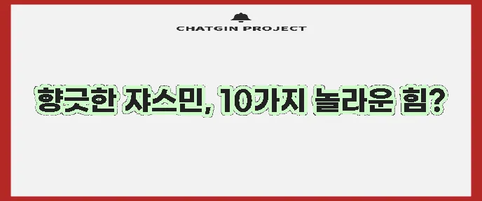 쟈스민 효능 10가지 이제 확실히 알아볼까요?
