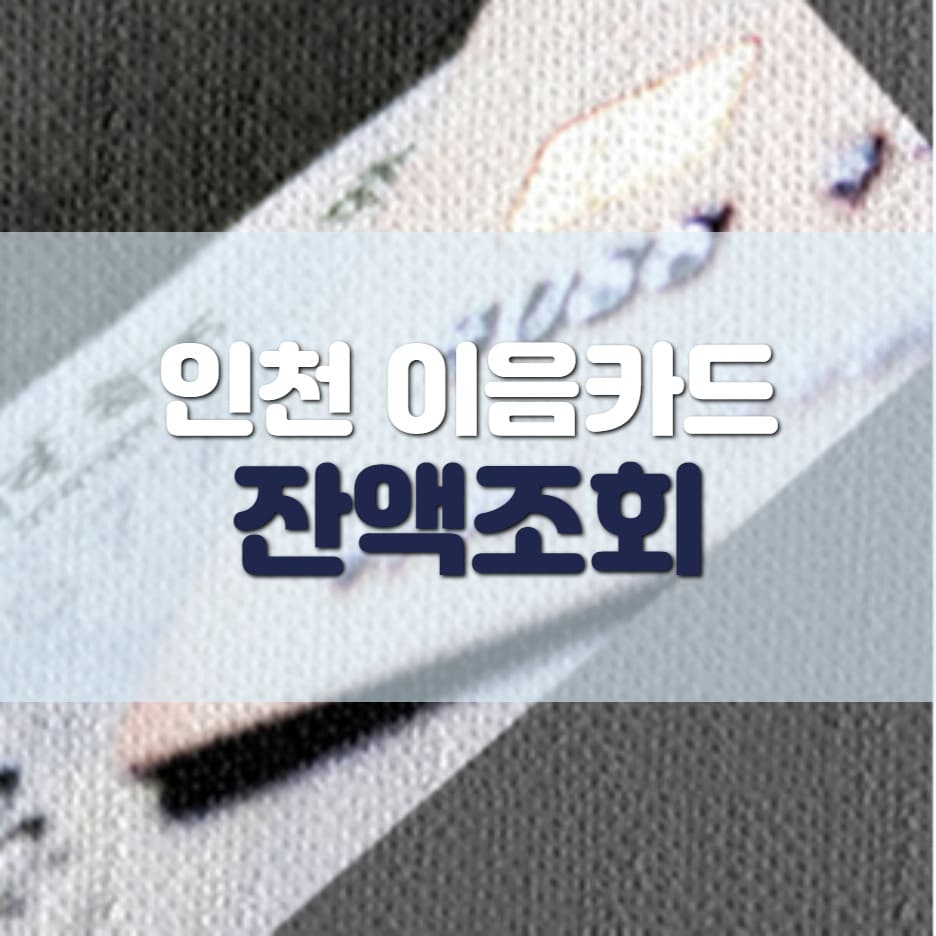 인천 이음카드 재난지원금 사용처 잔액조회 