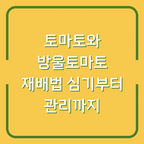 토마토와 방울토마토 재배법 심기부터 관리까지