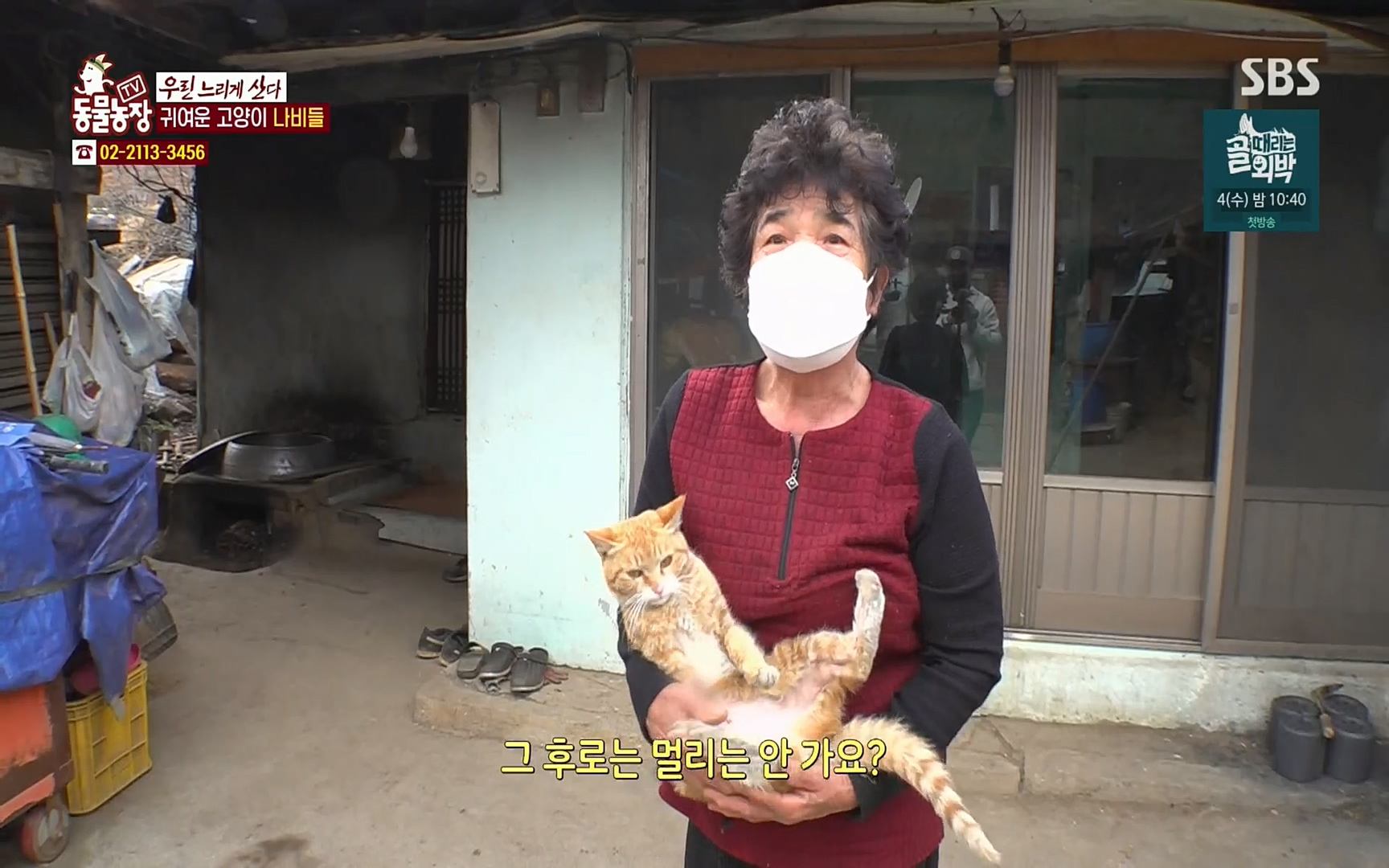 TV 동물농장.E1067.220501p.H264-F1RST.mp4_20220501_183740.366.jpg