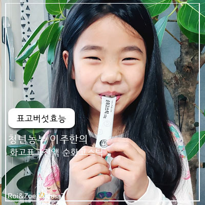  5월 가정의달 부모님 선물로 좋은 표고버섯 효능