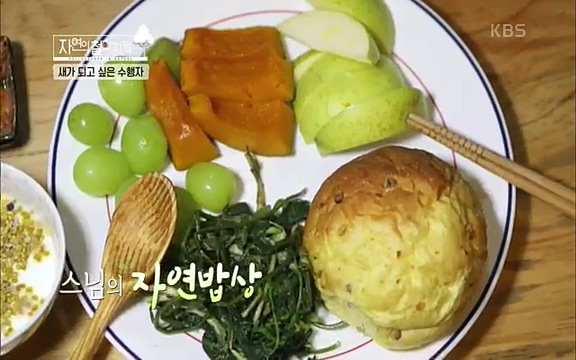 [3회] 자연의 철학자들 - KBS새처럼 살고 싶어라] 자연이라는 위대한 법당에서 숲의 울림, 새들의 소리를 들으며 깨달음을 얻은 도연 스님.ts_20220320_152517.550.jpg