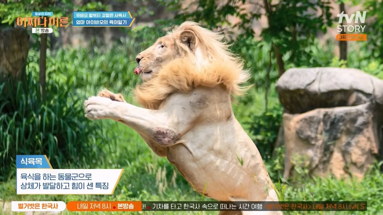 어쩌다 어른.E41.240131p-NEXT.mp4_20240201_202219.231.jpg