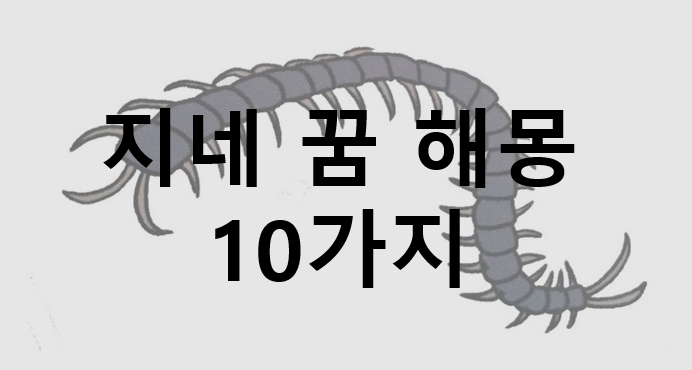  지네꿈, 지네한테 물리는 꿈 해몽 정리 10가지