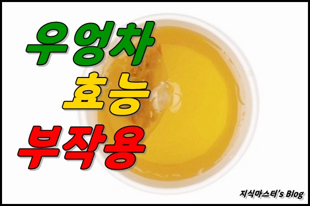  우엉차 효능 부작용 제대로 알고 섭취하기