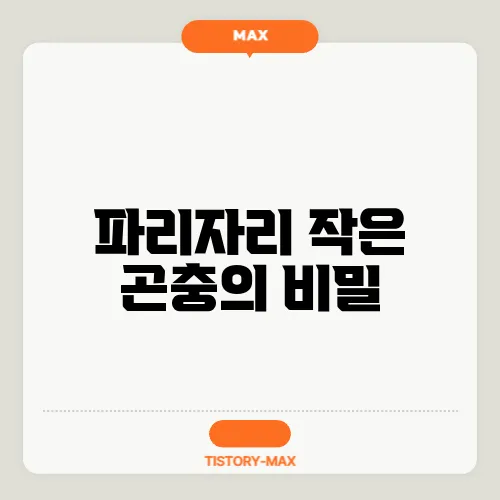 파리자리 작은 곤충의 비밀