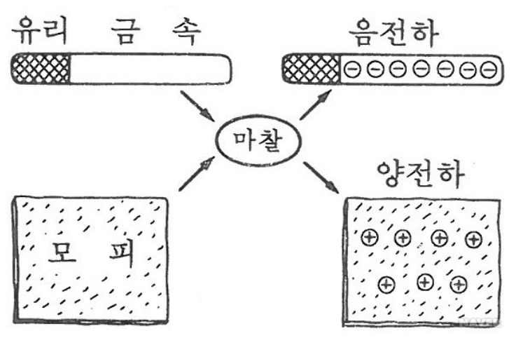 양전하 음전하