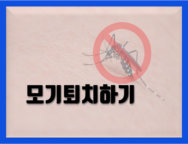  모기 퇴치 꿀팁