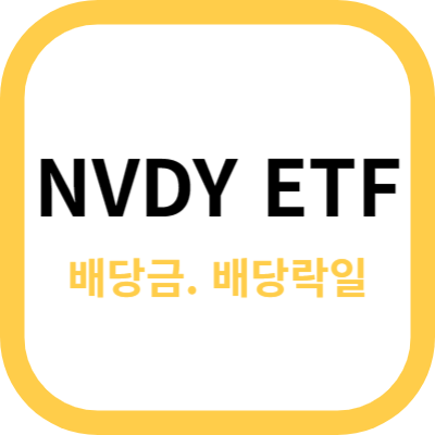 NVDY 5월 배당금