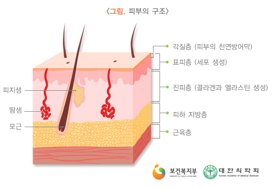  겨울철 건조한 피부 관리법 올바른 샤워와 보습 그리고 온도