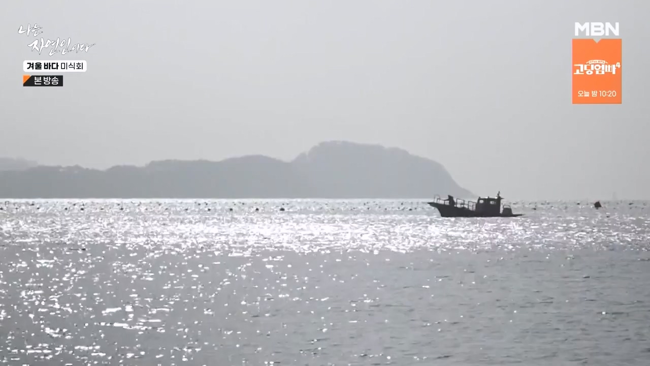 나는 자연인이다.E584.231214p-NEXT.mp4_20231214_194906.471.jpg