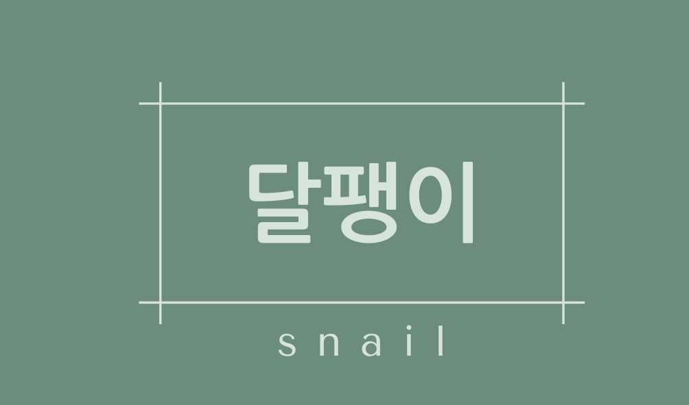 달팽이(snail)