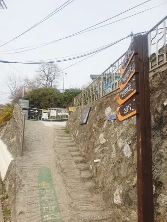 강원도 묵호 여행 묵호항 수산시장 등대 명소_23