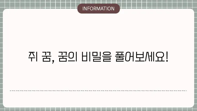 쥐가 여러 마리 나오는 꿈