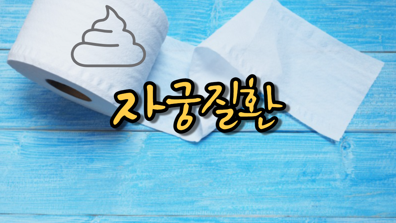  자궁질환