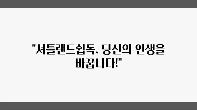 셔틀랜드쉽독분양 가족이 되는 순쁌