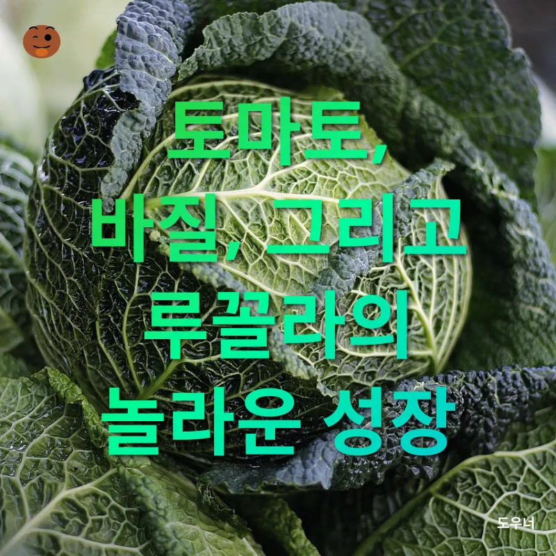 베란다 채소 키우기_1