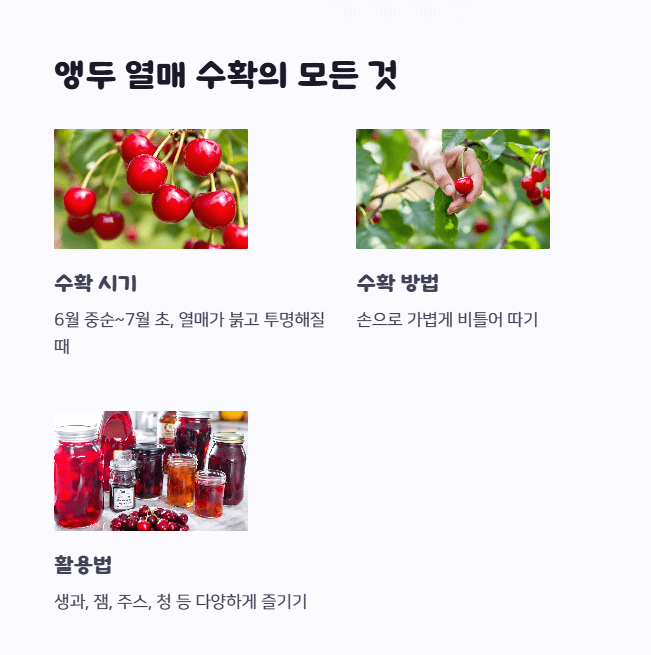 앵두나무