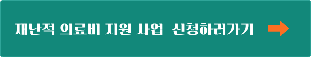 재난적 의료비 지원 사업 필요서류 지원대상 신청하러가기