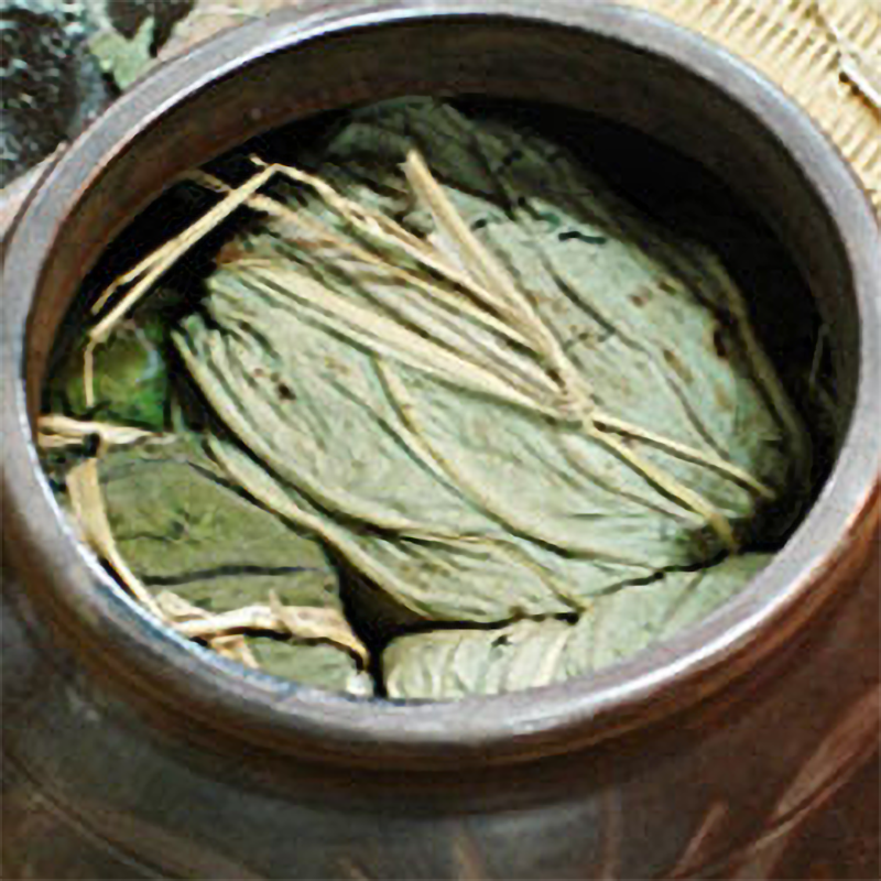 연엽주