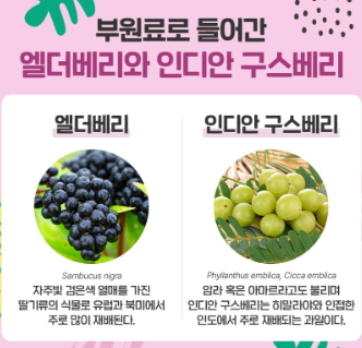 부원료로 함유된 엘더베리와 인디안 구스베리