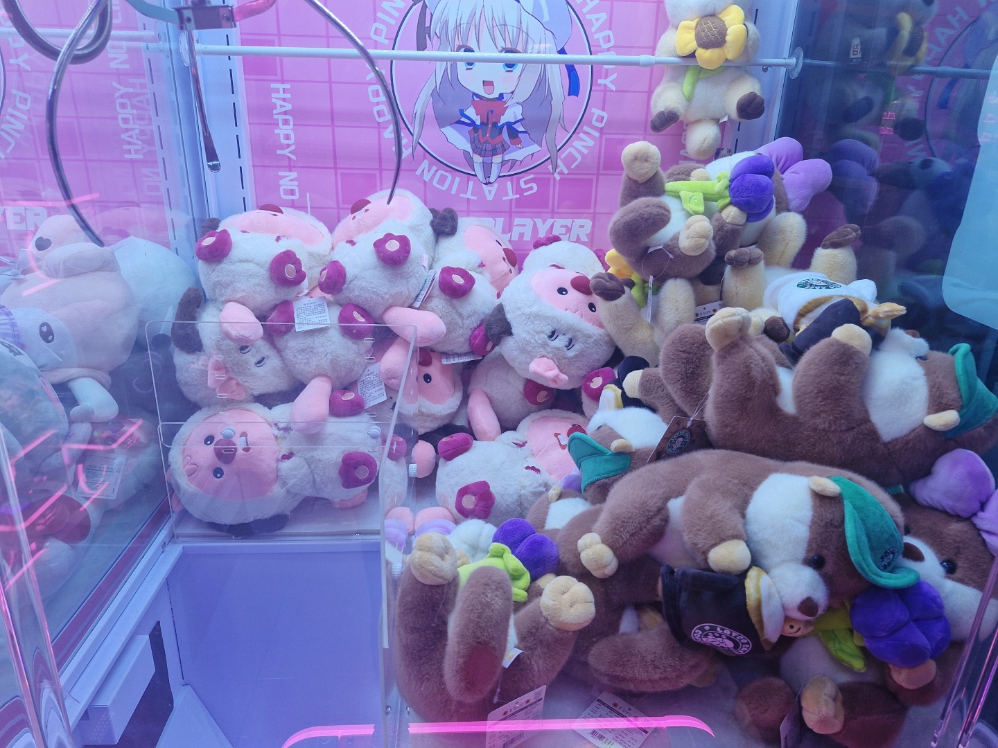 인형뽑기 이미지