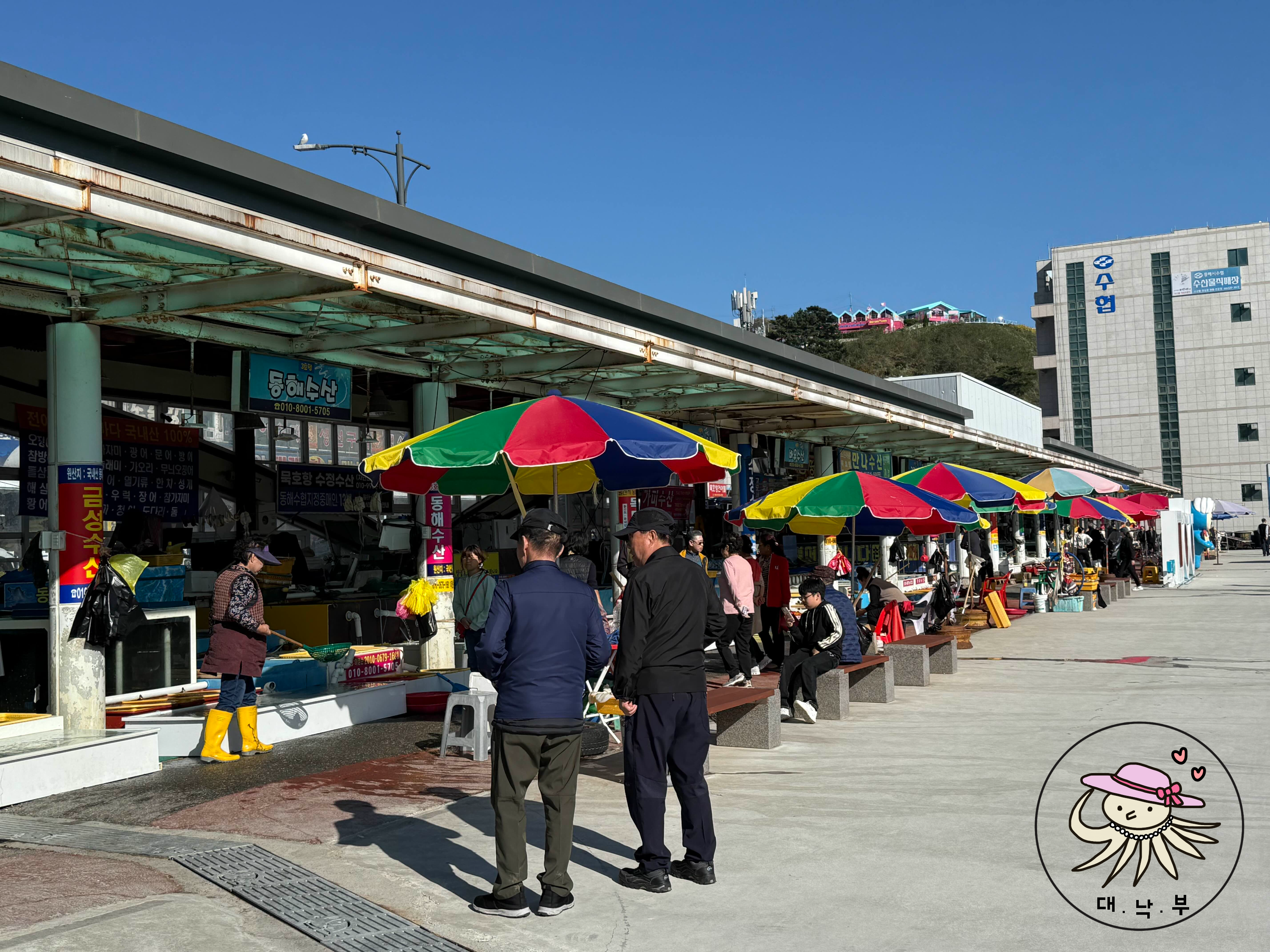 묵호항 수산시장