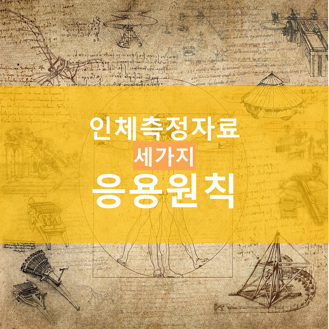  [인간공학] 인체측정 자료의 응용원칙 세가지(극단치 설계, 조절식 설계, 평균치 설계)