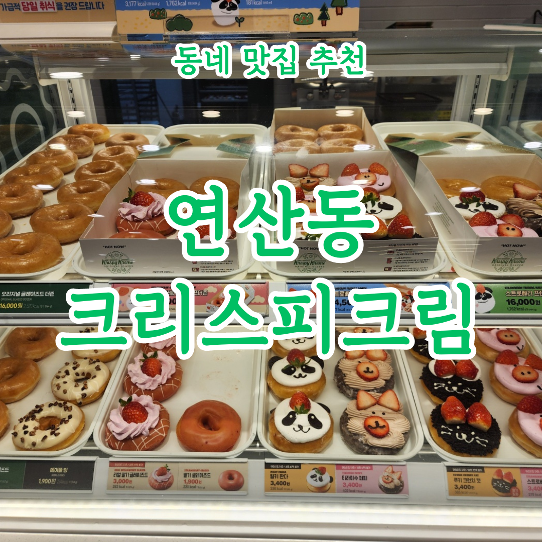  도넛이 먹고싶을 때, 연산동 크리스피크림도넛 도넛극장 매장 구경 리뷰