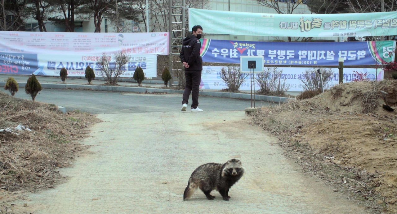 생츄어리 이미지