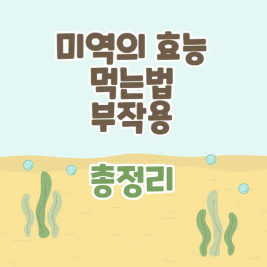 미역의 효능과 먹는 법 및 부작용