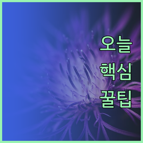 국회의사당 전망이 한눈에! 부다페스트