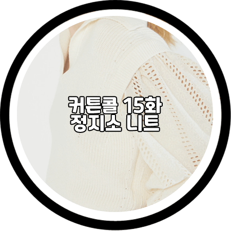  커튼콜 15회 정지소 카라 니트 - 바네사브루노 아떼 울 혼방 펀칭 자수 빅카라 니트 / 서윤희 옷