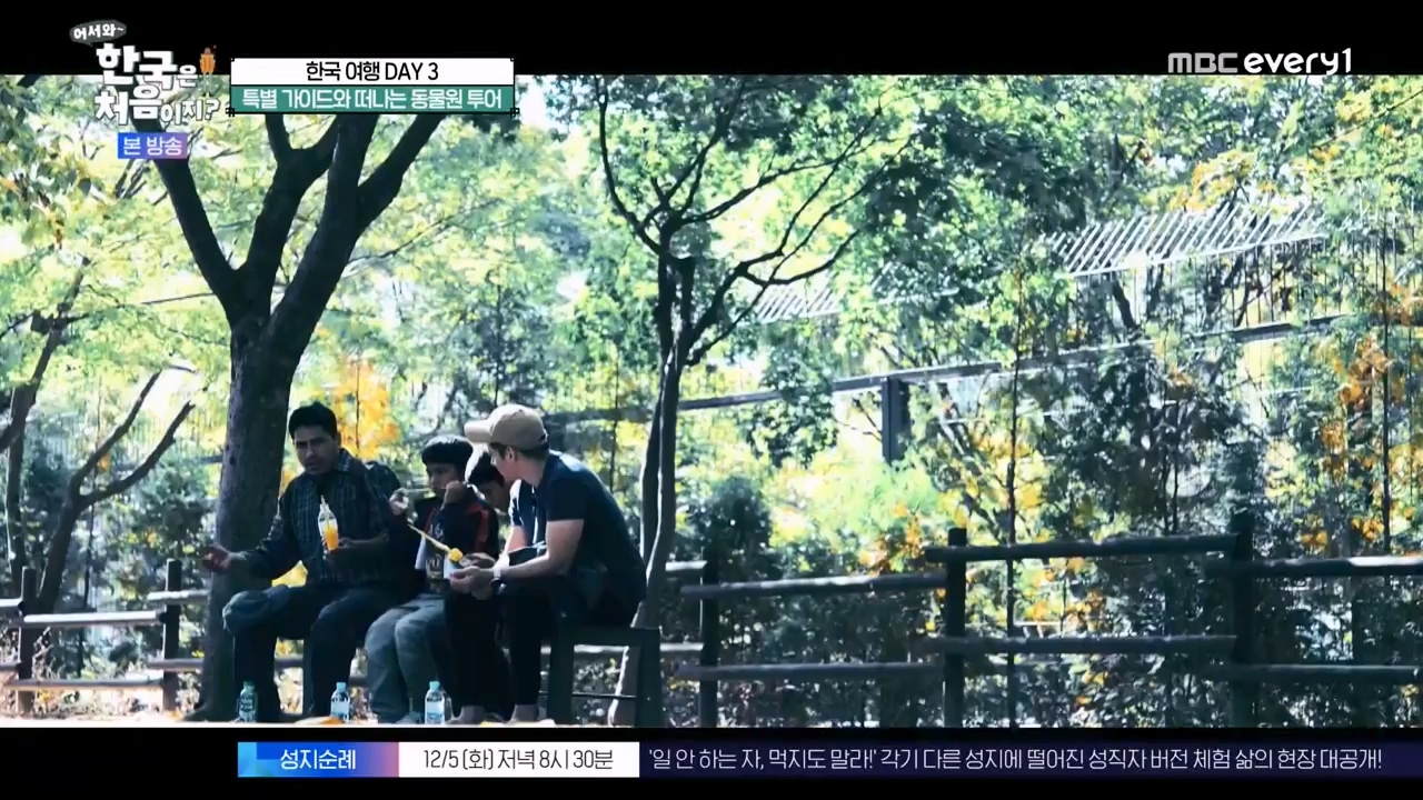 어서와 한국은 처음이지 시즌2.E291.231131p-NEXT.mp4_20231201_202428.172.jpg